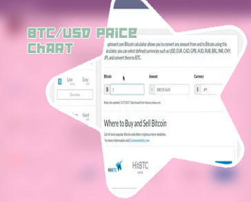Bitcoin converter usd