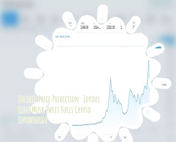 Bitcoin price wiki
