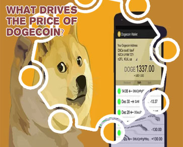 Cost of dogecoin
