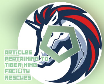 How to buy tiger king crypto