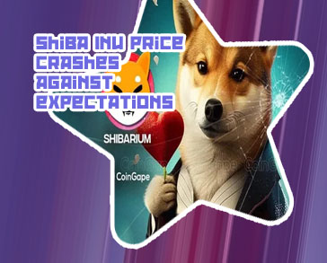 Shiba inu news crypto